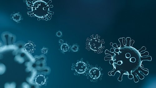 Corona-Virus (Bild von mattthewafflecat auf Pixabay )